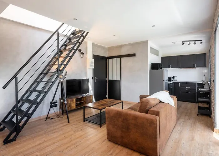 アパート Superbe Loft Industriel - Casa Vostra - Caution 800 Eur & Id Requises - Tram-frontiere ガイヤール